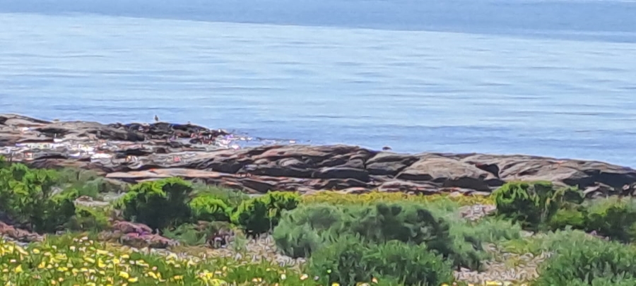 0 Bedroom Property for Sale in St Helena Views Western Cape